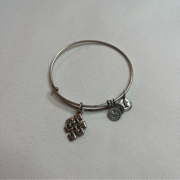 Alex And Ani Endless Knot Charm Antique Silver Finish Bangle Bracelet One Size - Picture 7 of 16